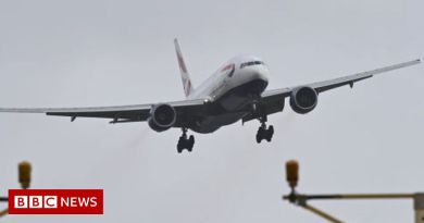 ब्रिटिश एयरवेज ने तेज हवाओं के लिए सामान में देरी को जिम्मेदार ठहराया