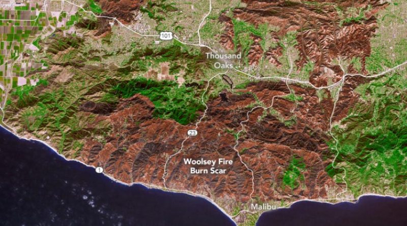 California Fire Led To Spike in Fecal Bacteria in Coastal Waters