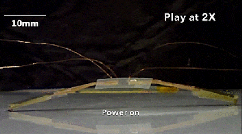 Engineers Create Tiny Robot “Bugs” That Can Go Just About Anywhere
