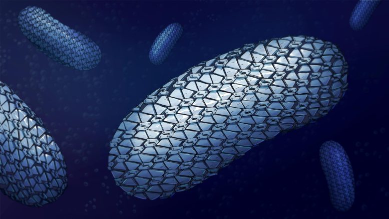 The Protective Armor of Superbug C. difficile Revealed