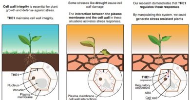 New Research Reveals What Plants Need To Withstand Drought