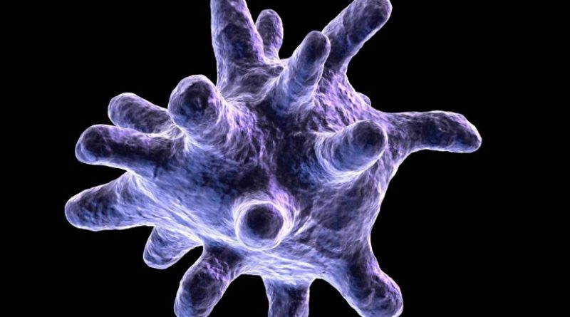 Elevated Inflammation Persists in Immune Cells Months After Mild COVID-19