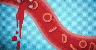 Size Matters in Nanoparticle Treatments To Stop Internal Bleeding From Traumatic Injuries