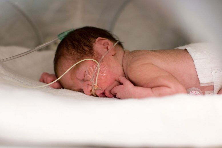 Predicting Premature Birth With Epigenetic Biomarkers