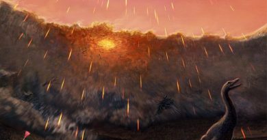 Revelations From Bones of Fish That Died When the Asteroid Hit