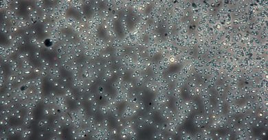 Climate Change and Extreme Weather Will Have Complex Effects on Infectious Disease Transmission